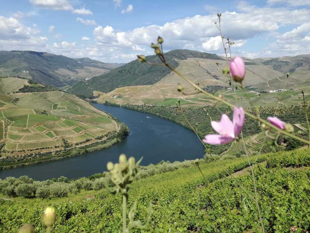 Authentic Northern Portugal landscape highlighting rural property investment
